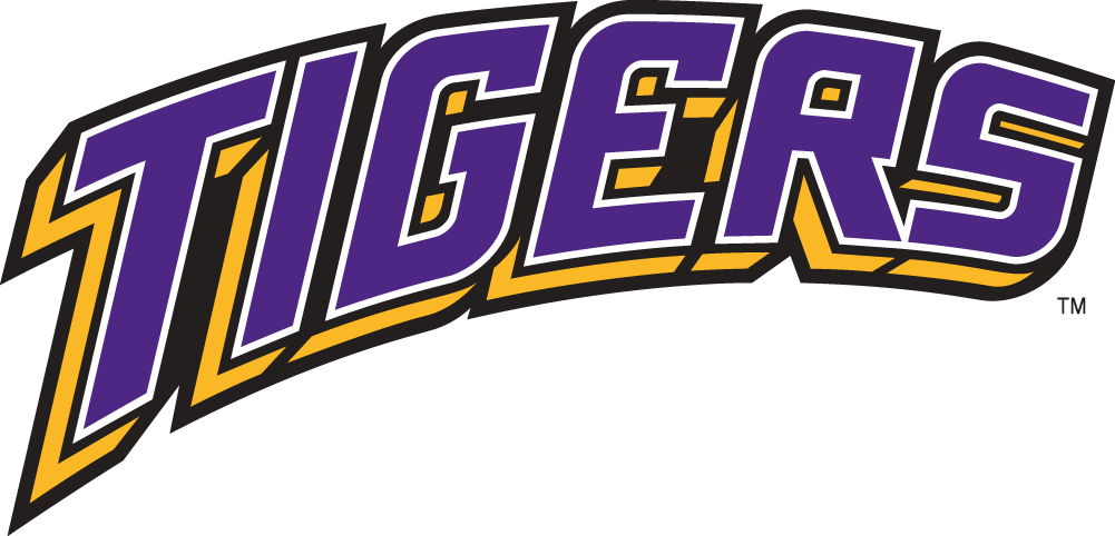 LSU Tigers 2002-Pres Wordmark Logo v4 diy iron on heat transfer